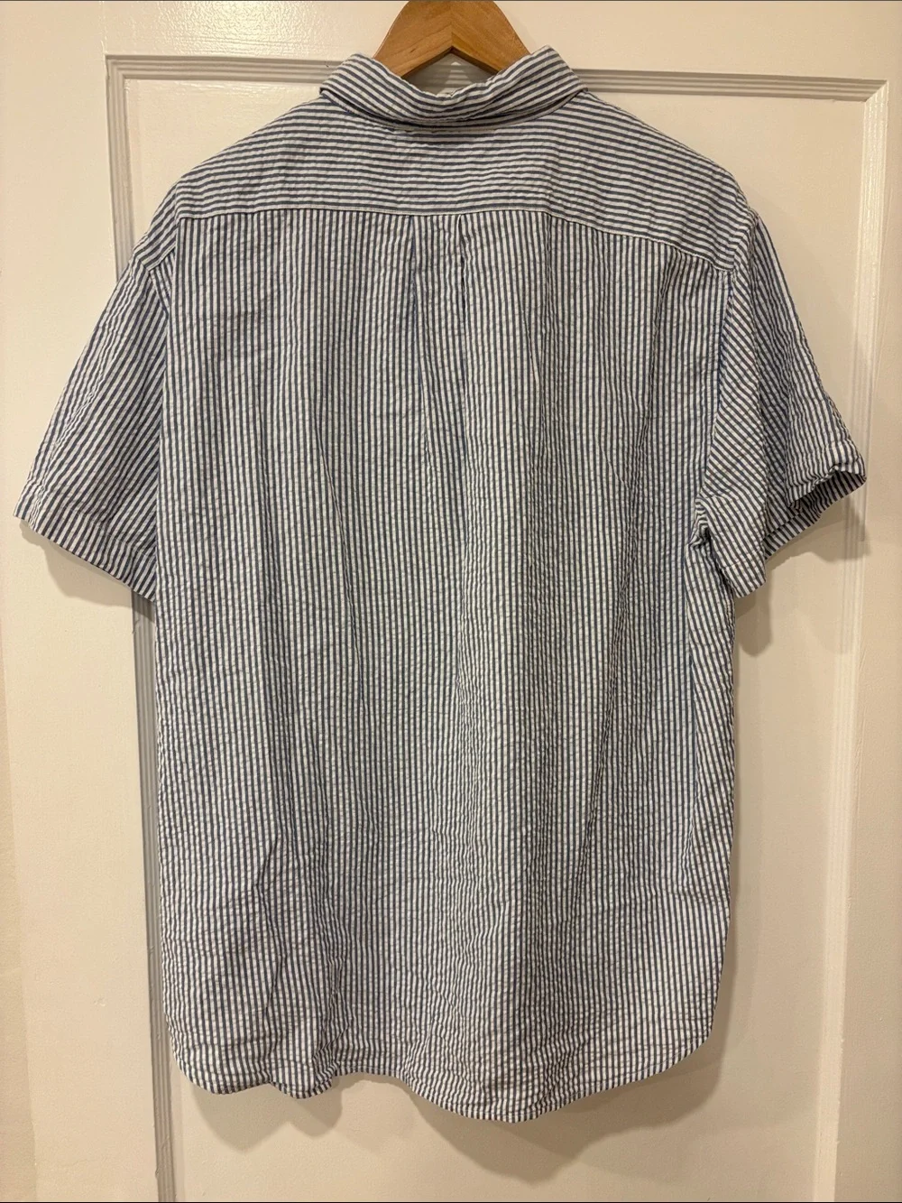 J. Crew Blue and White Striped Short-Sleeve Button-Down Shirt